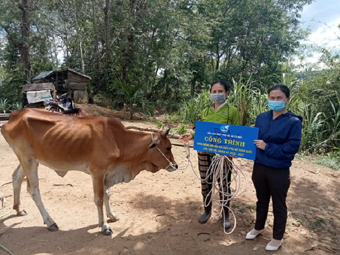 Hội LHPN xã Cư Mốt hỗ trợ sinh kế giúp hội viên phụ nữ nghèo vươn lên phát triển kinh tế 
